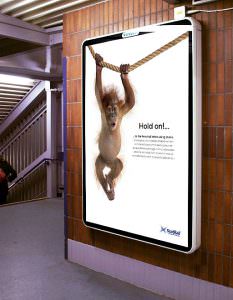 Monkey train advert