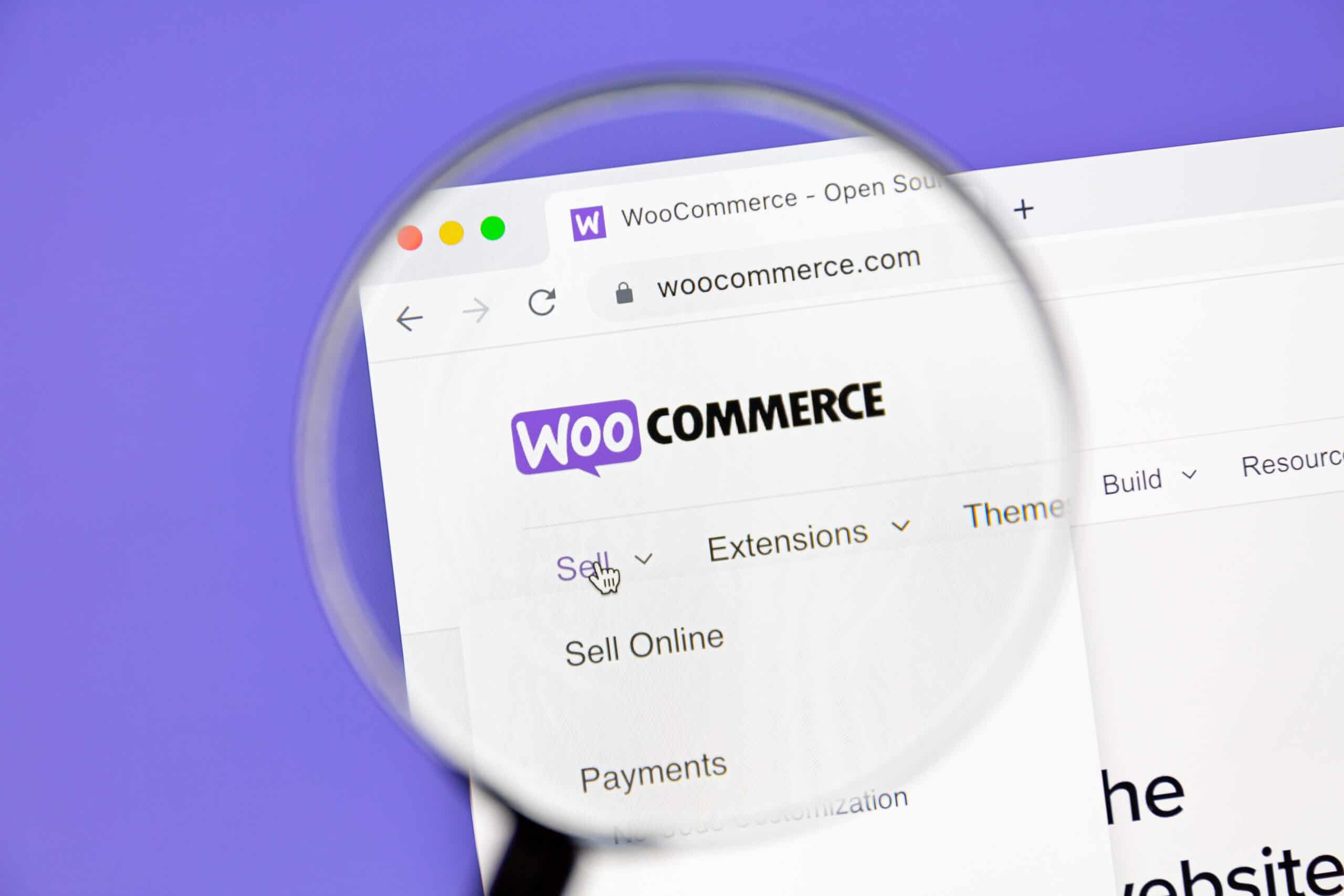 WooCommerce vs Others: Comparing Ecommerce Platforms WooCommerce vs Others: Comparing Ecommerce Platforms